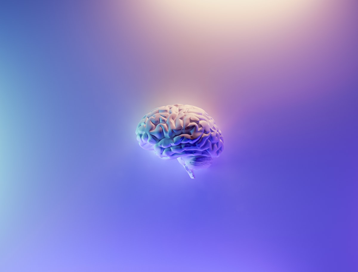 Una mente encendida: por qué el cerebro ama los juegos
